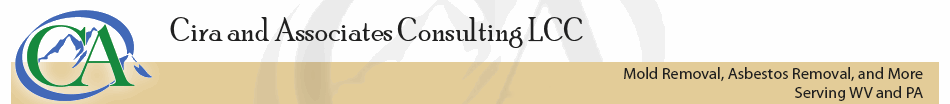Cira and Associates Consulting LLC